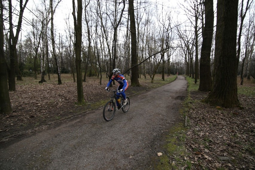 Park Śląski: W Biegu Górskim wystartowało ok. 400 biegaczy [ZOBACZ ZDJĘCIA]