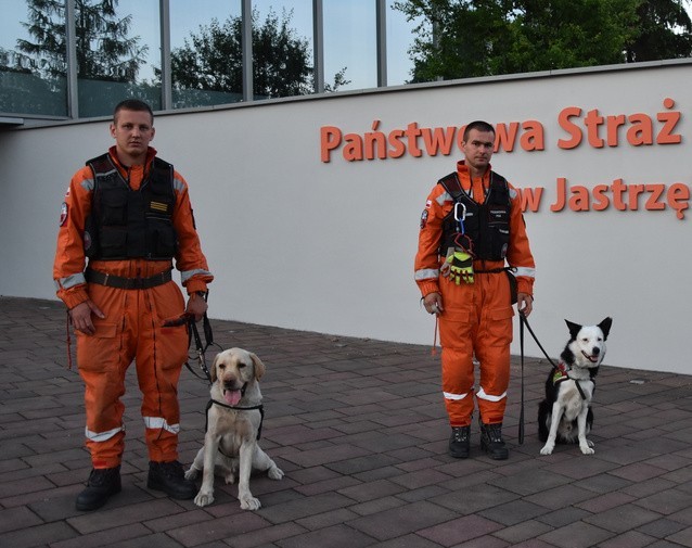 Specjalistyczne psy z Jastrzębia są gotowe pomóc w akcji na...