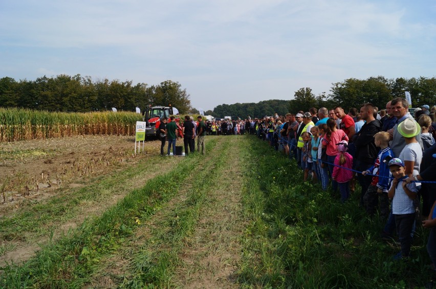 Podlaski Dzień Kukurydzy 2019 w Szepietowie. Na imprezę przyszły tłumy! (zdjęcia)