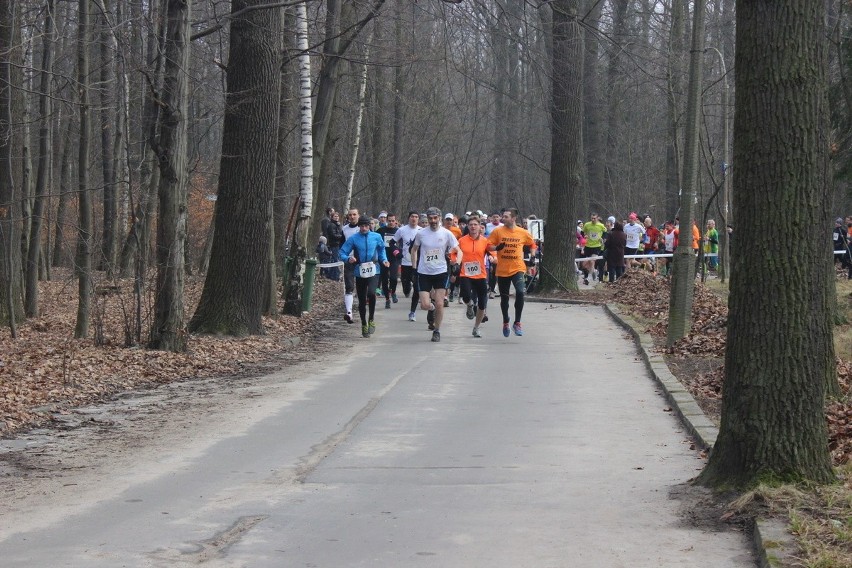 Puchar Maratonu Dbam o Zdrowie w Arturówku. Bieg na 25 km [ZDJĘCIA+FILM]