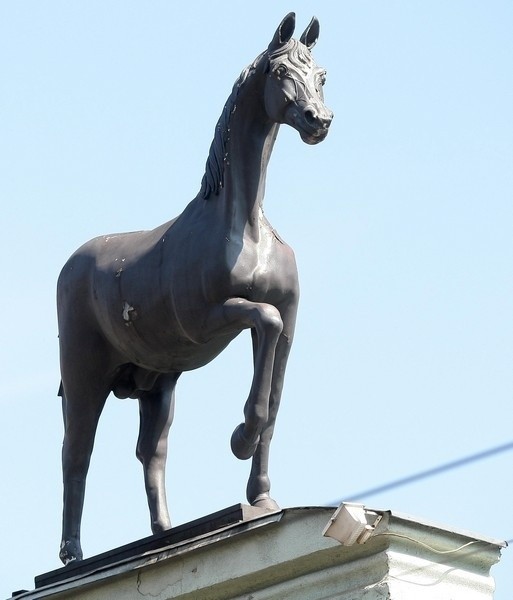 Figura konia będzie zdjęta z frontonu budynku i poddana renowacji.