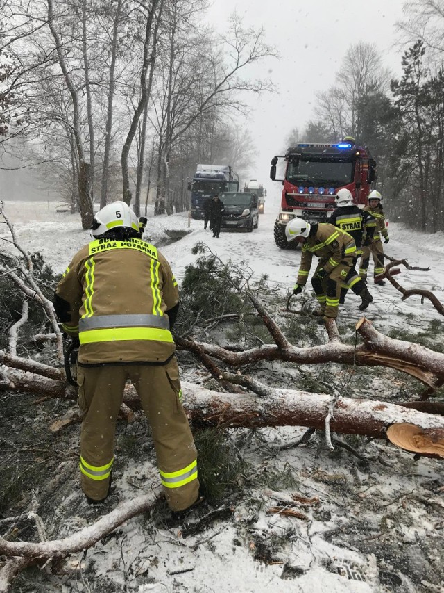 Strażacy ochotnicy z  Rudy Malenieckiej w akcji.