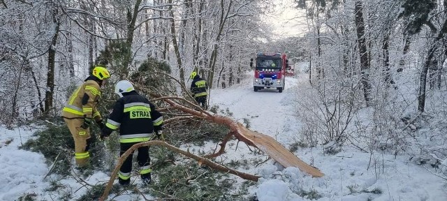 Strażacy w Kujawsko-Pomorskiem w związku z obfitymi opadami śniegu mieli sporo pracy.