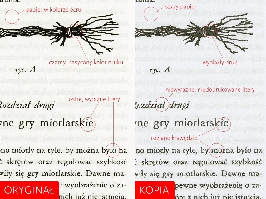 Fałszywe książki o Harrym Poterze - zobacz różnice!