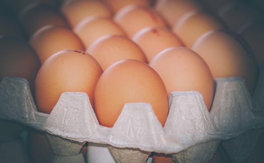 Kupując jajka, należy upewnić się, że skorupki jaja są...