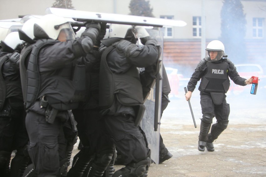 Tak policja walczy z kibolami na Śląsku