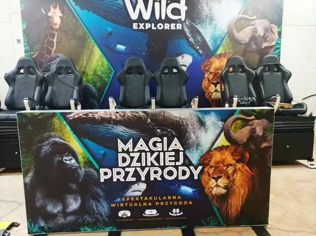 Kino nową atrakcją opolskiego ogrodu zoologicznego.
