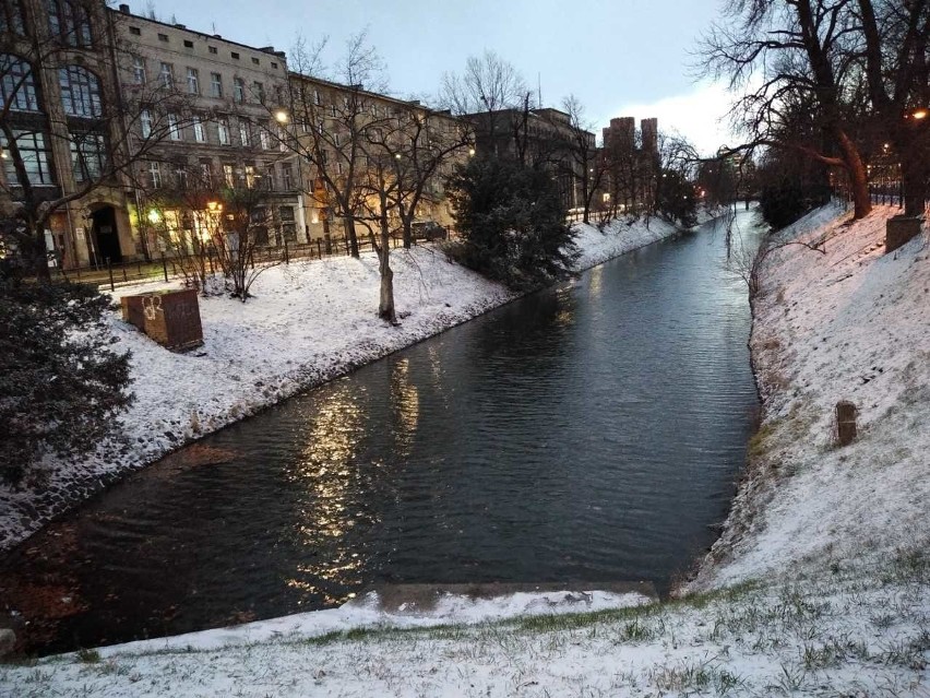 Śnieżyca we Wrocławiu. Nagła zmiana pogody i fatalna sytuacja na drogach Dolnego Śląska [ZDJĘCIA]