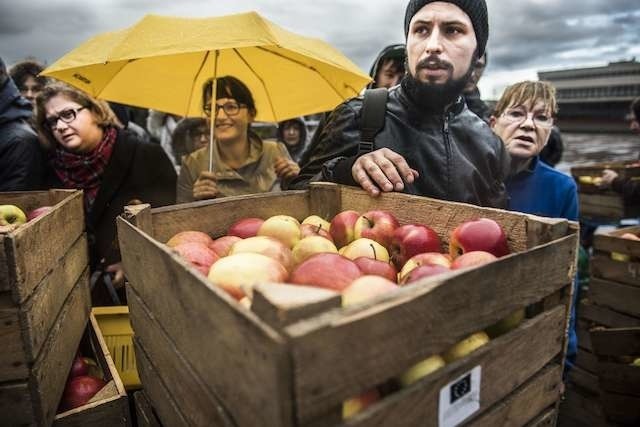Ulewa nie zmniejszyła apetytu studentów i mieszkańców na polskie jabłka. Pod aulą UMK ustawiła się wczoraj gigantyczna kolejka chętnych