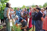 Warsztaty ogrodnicze dla każdego odbyły się na Rodzinnych Ogródkach Działkowych "Stokrotka" w Bełchatowie ZDJĘCIA