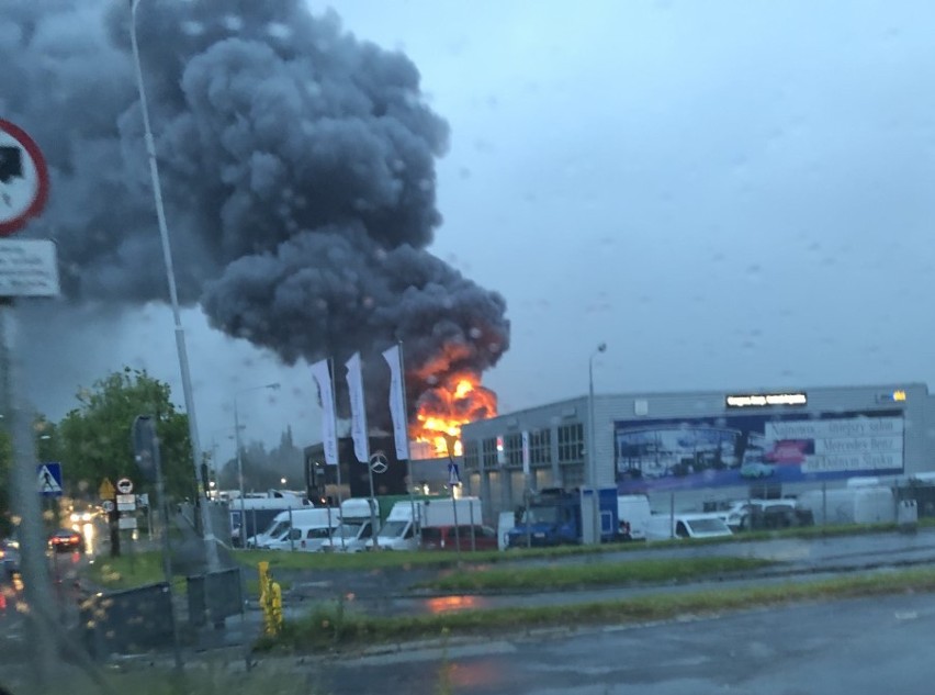 Potężny pożar salonu Mercedesa koło Korony [ZDJĘCIA]