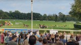 Tragiczny wypadek podczas wyścigów konnych na Partynicach we Wrocławiu. Koń musiał zostać uśpiony [FILM]