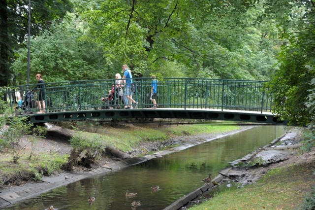 Konstrukcja jest stalowa, lekko wygięta w łuk, a nawierzchnia wykonana została z żywicy.