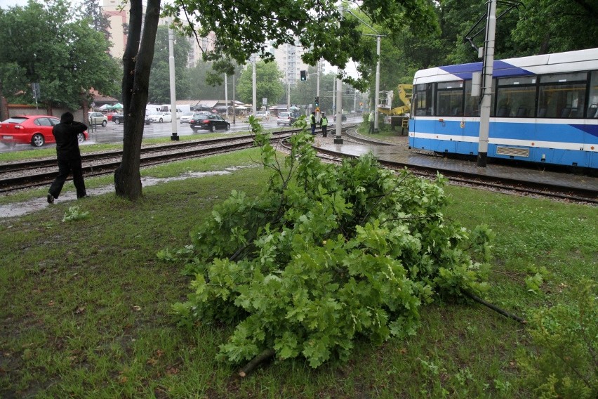 Wrocław: Gałęzie zagrażały trakcji tramwajowej przy Grabiszyńskiej. Konieczna była wycinka (ZDJĘCIA)