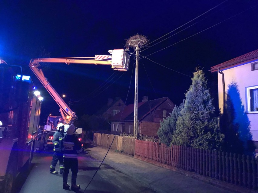 Zerwane linie pod napięciem, połamane drzewa i inne...