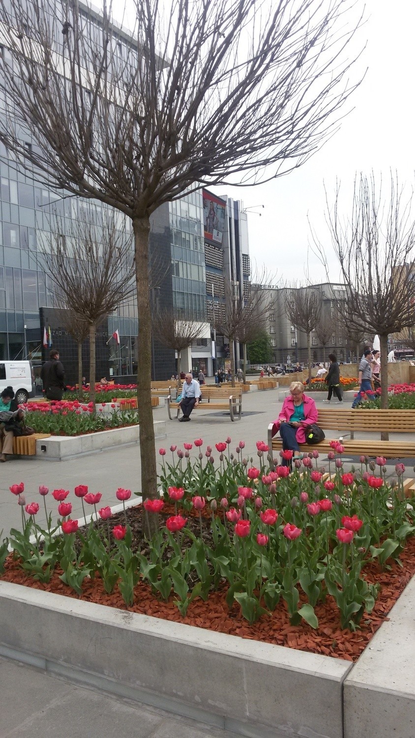 Plac Kwiatowy na Rynku w Katowicach
