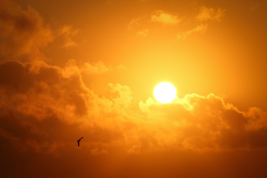 Gdy na zewnątrz panuje ponad 30°C, a samochód stoi w mocno...