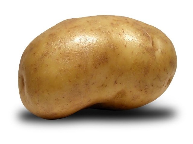 W końcu Podlasie to królestwo ziemniaka.