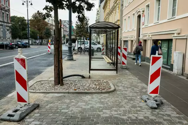 Do incydentu z udziałem starszej bydgoszczanki i jej wnuka doszło na przystanku tramwajowym w centrum Bydgoszczy.