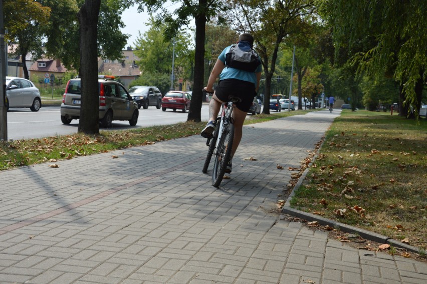 Tarnów. Jesienią ruszy system wypożyczalni rowerów miejskich