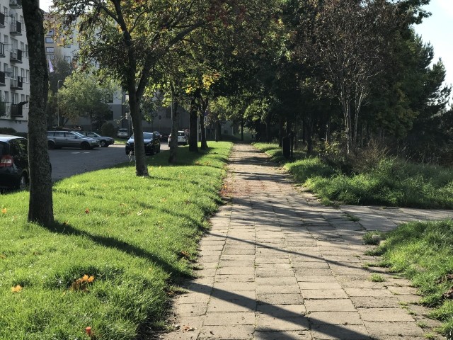 Rusza remont chodników przy ulicy Górnej i Kosynierów Gdyńskich w Słupsku. Obie ulice są jednymi z pierwszych na Osiedlu Westerplatte i od lat czekają na remont. Przebudowa chodników ma poprawić komfort mieszkańców i estetykę okolicy. Koszt inwestycji to prawie 800 tys. złotych.