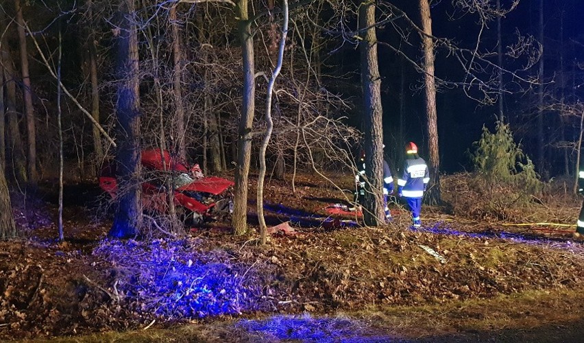 Nocny wypadek pod Lutomierskiem. Samochód rozbił się na drzewie. Kierowca zmarł [zdjęcia]