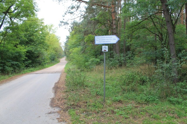 Stary, leśny cmentarz w Ossie zostanie posprzątany.