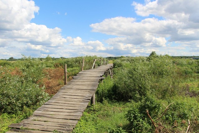 Miejsca w regionie idealne na jednodniową wiosenną wycieczkę nie tylko w weekend. Zobacz, co warto zwiedzić w województwie podlaskim