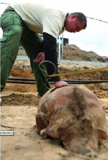 Archeolodzy przy Rynku Siennym znaleźli ok. 390 szkieletów. Kilkanaście z nich złożonych było w mogile egzekucyjnej.