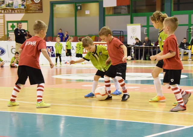 Trzydzieści podkarpackich drużyn rywalizowało w turniejach piłkarskich zorganizowanych przez Krośnieńską Akademię Piłkarską Bardomed i Miejski Ośrodek Sportu i Rekreacji w Krośnie.