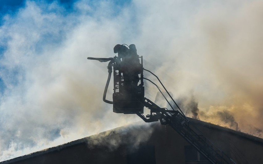 Wideo fotoreportera