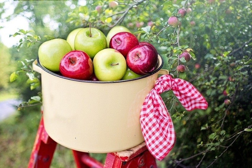 Jabłka zapobiegają cukrzycy...