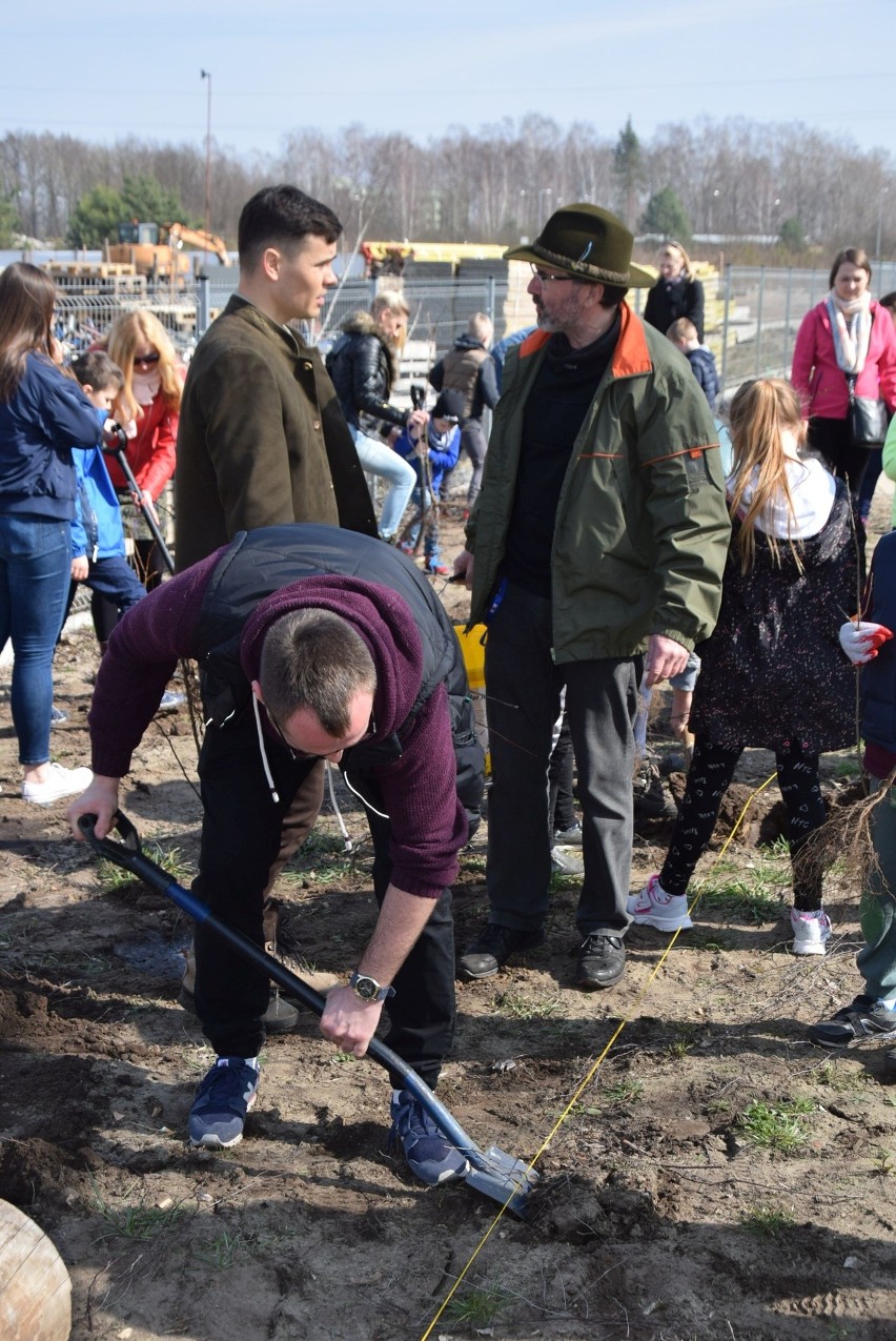 Ostrołęka. Akcja „Robimy tlen” z Multimedialnym Centrum Natura [ZDJĘCIA]