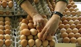 Mogą powiedzieć STOP polskim jajkom! Producenci: To wina urzędników