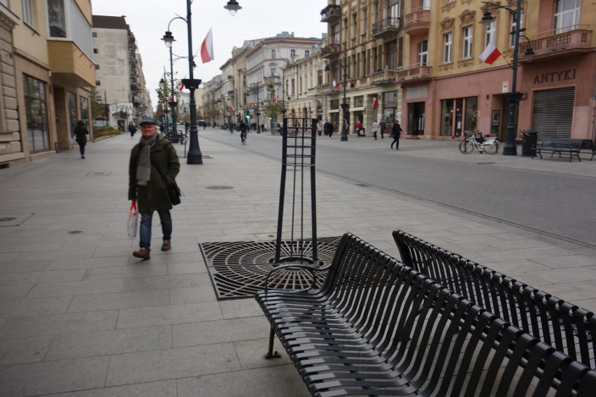 Drzewa na Piotrkowskiej będą znów wymieniane. Usunięto już uschnięte platany klonolistne