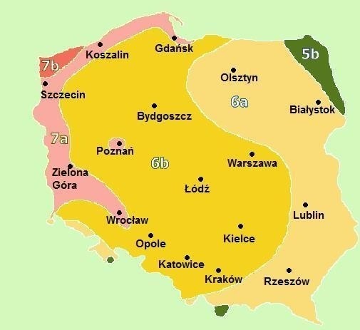 TRADYCYJNY podział na strefy mrozowe w Polsce.
licencja