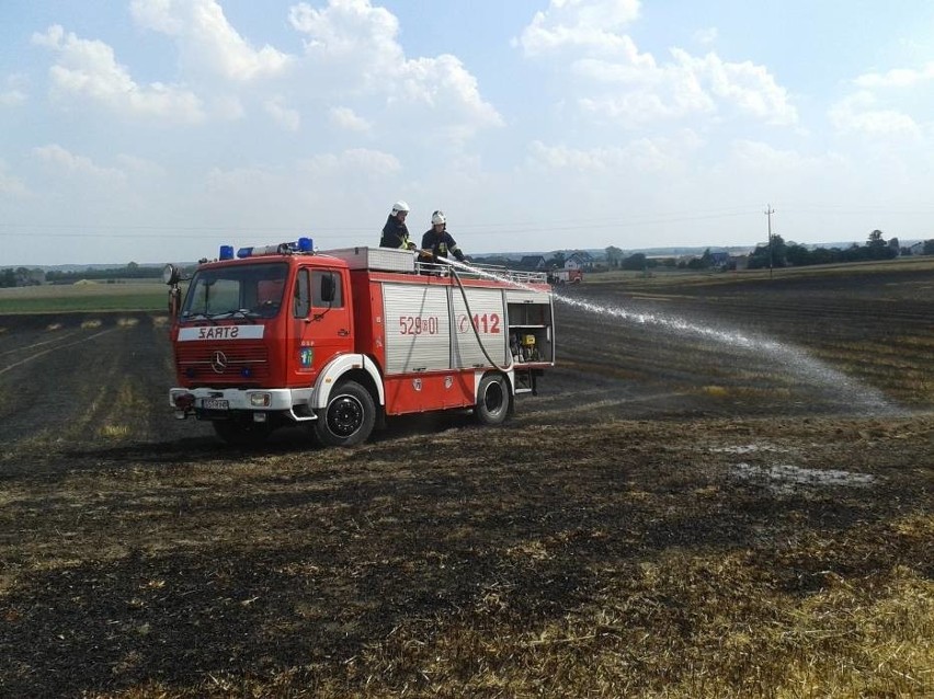Starogard Gdański: Duży pożar strawił około 2,5 ha pola [ZDJĘCIA]