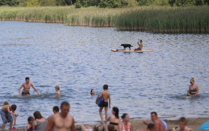 Tłumy nad Pogorią III w Dąbrowie Górniczej. Plażowicze korzystają ze słonecznej pogody. Byliście dziś na plaży? 