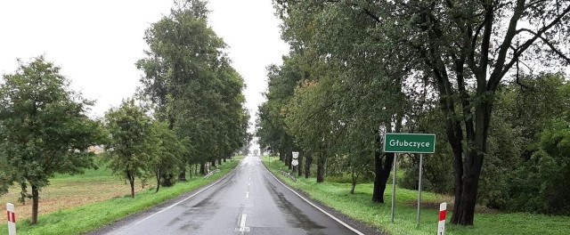 Na odcinku Nowe Gołuszowice - Głubczyce wymieniony zostanie m.in. asfalt.  