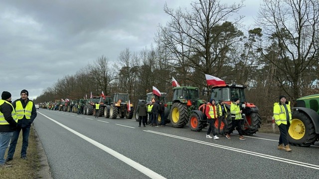 Protest rolników w powiecie aleksandrowskim, na drodze krajowej nr 91.