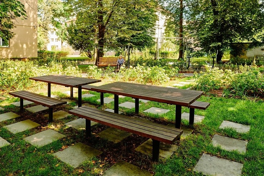 Lipowy Ogród Krakowian przy ul. Jakuba Zachemskiego