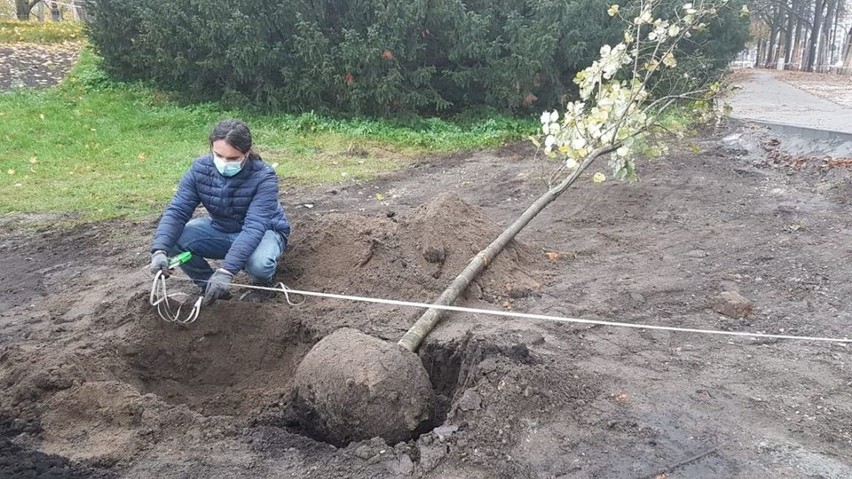 W rejonie placu Rapackiego w Toruniu pojawiły nowe...