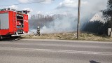Groźny pożar w Żarach. Znów ktoś wypalał trawę. Mogło się to skończyć tragicznie! 