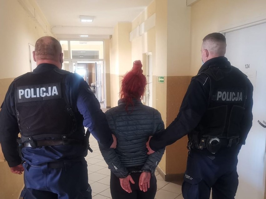 Kryminalni z Gdańska zatrzymali 46-latkę, która z trzeciego piętra wyrzuciła młodego kota. Kobiecie grozi do 3 lat więzienia