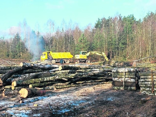 W gminie Chmielnik powstaje olbrzymia ferma kurcząt. 400 mieszkańców się sprzeciwia Na terenie inwestycji już wycięto drzewa. Policjanci i urzędnicy ustalili, że zrobiono to nielegalnie.