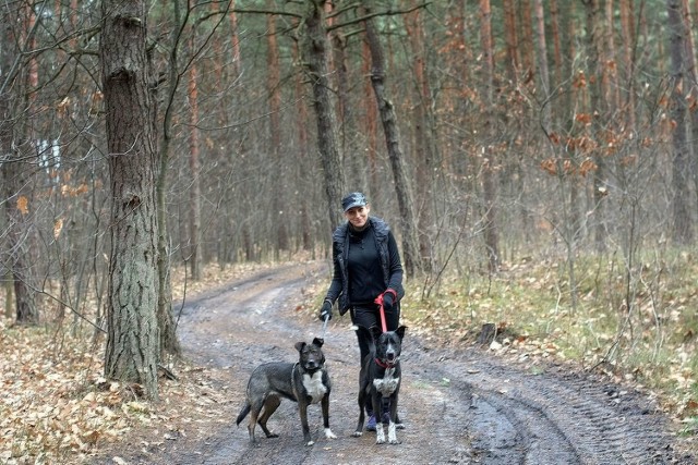 Ela z Sarą i Luckim