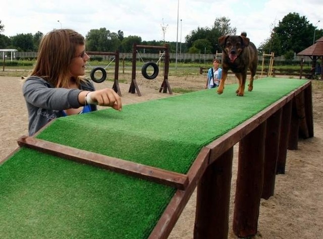 W Szczecinie w parku im. S. Kownasa powstanie wybieg dla psów