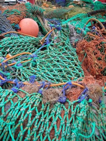 Porzucone sieci w Bałtyku są śmiertelną pułapką dla ryb, ptaków i morskich ssaków.
