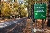 Dąbrowa Górnicza: będzie nowa droga do Parku Zielona. Eurovia wygrała przetarg ZDJĘCIA 