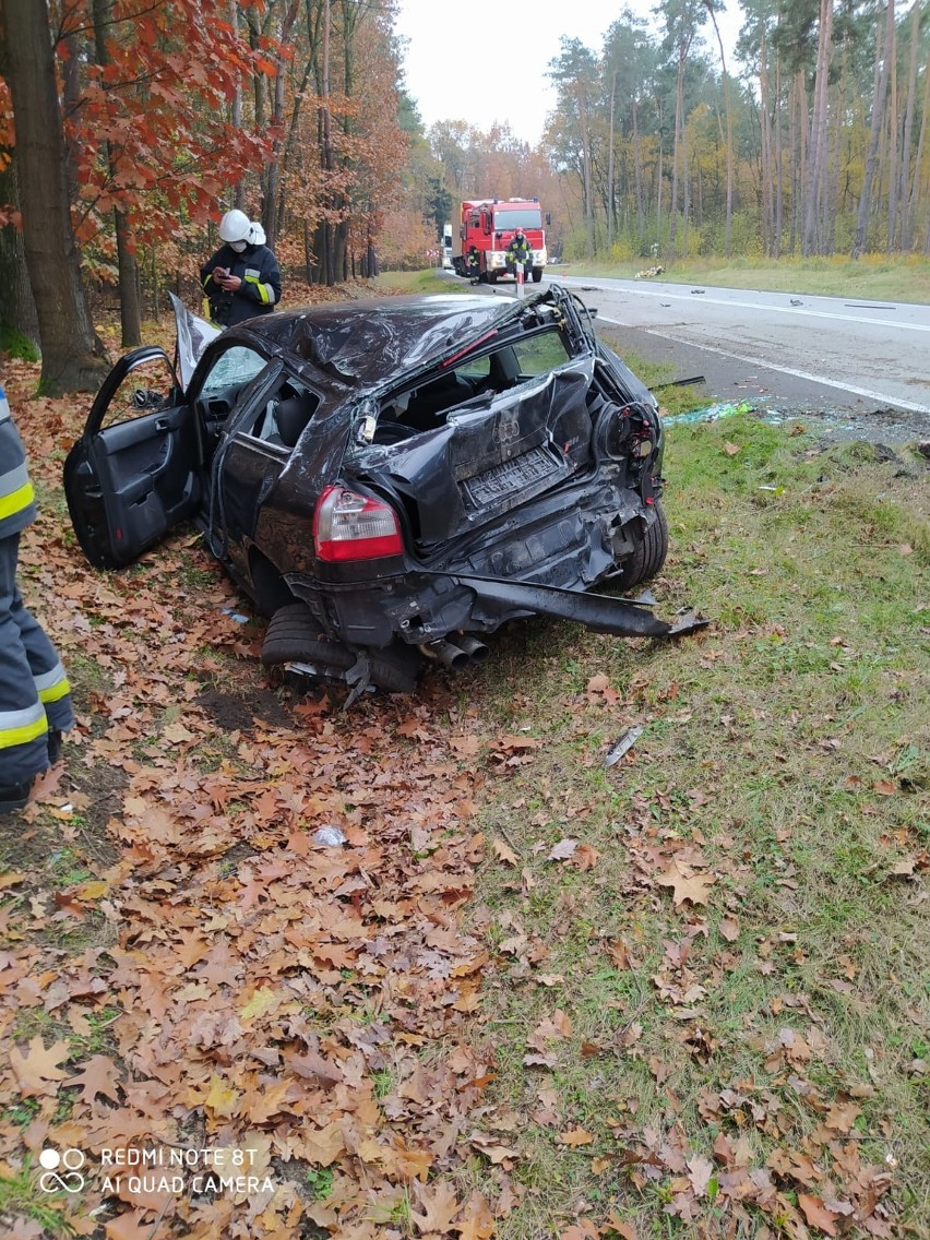 Do wypadku doszło w sobotę (7 listopada) na leśnym odcinku...